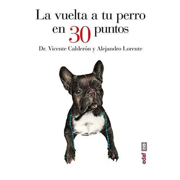 USED-La vuelta a tu perro en 30 puntos (Spanish Edition) by Dr. Vicente Vicente Calderón (Paperback)