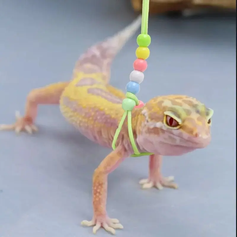 Gecko Traction Rope Small Pet Guardian Sand Mane Lion Lizard Reptile Outing Traction Rope Climbing Pet Supplies