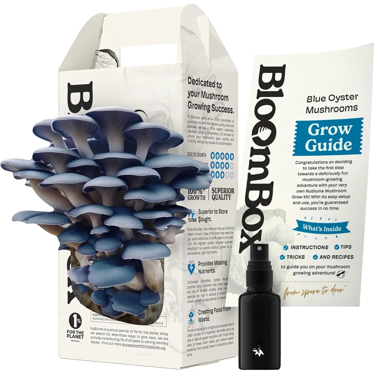 Blue Oyster Mushroom Grow Kit | Grow Your Own Fresh Gourmet Mushrooms at Home | Edible Indoor Mushroom Growing Kits   for  & Adults