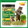 JUST TRY Feline Grass Treats Salmon Flavor  Cat Grass for Hairball Control, Digestive Health Support Healthy Cat Training Treats for Indoor Cats 14.1 OZ #sohochic