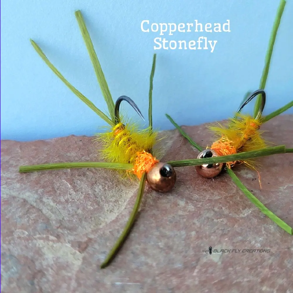 Black Fly 2-Pack (Copperhead Stonefly) Tungsten Jig Trout Wet Flies - A Buggy Golden Stonefly Nymph Pattern with Olive Silly Legs, Use Euro Nymphing, Tenkara, Dead Drift or Jig Fishing Trout, Panfish, Grayling & Salmon Fishing by Black Fly Creations