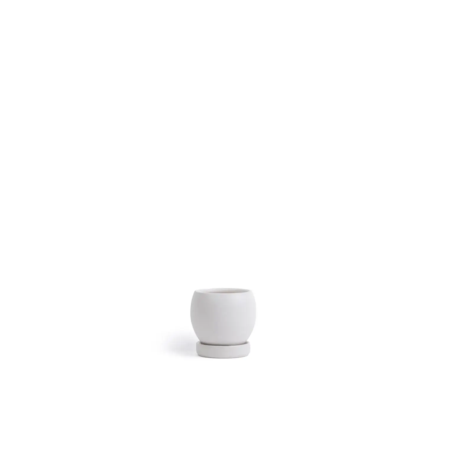 4.25" Bollé Pots with Water Saucers