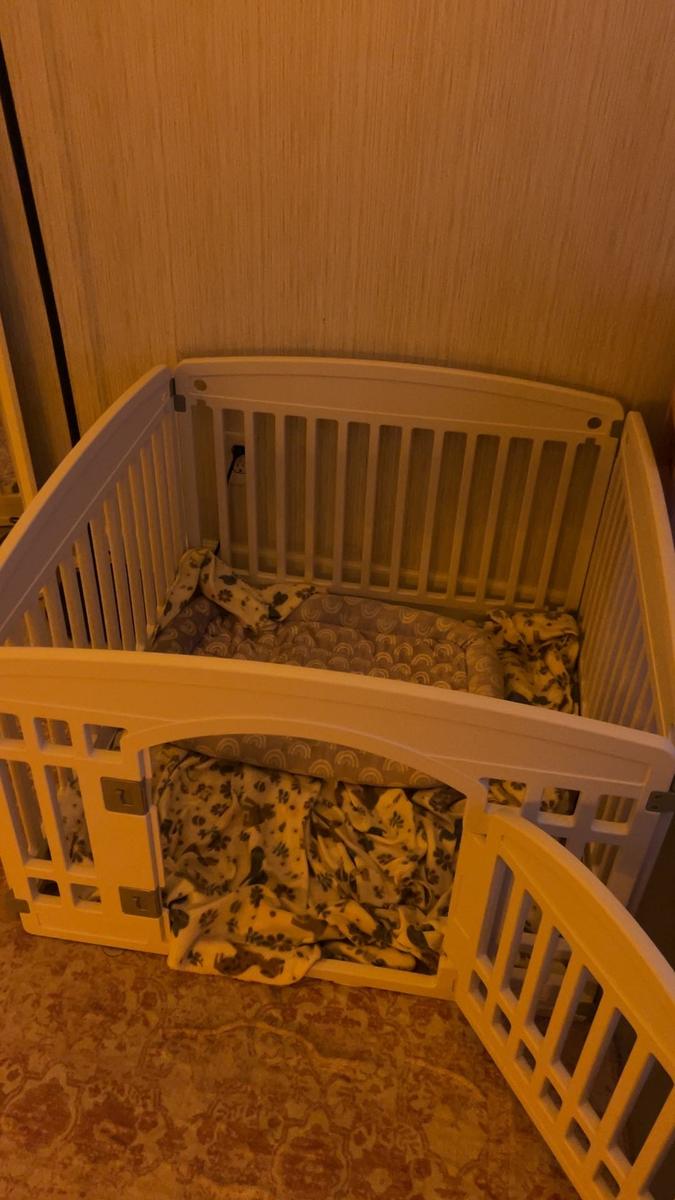 Item: White & 4-Panel 24"