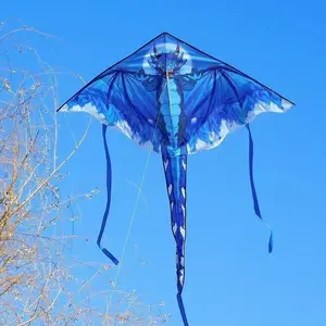 Dragon-Shaped Zheng Pterosaur's Weiyi Feicheng Adult Special Large Weifang Zheng
