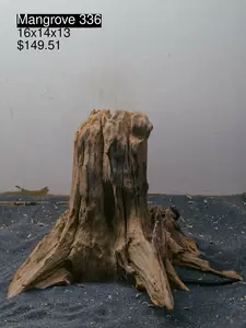 Mangrove Tree Stump 336