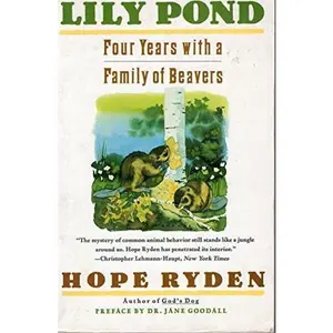 USED-Lily Pond: Four Years With a Family of Beavers by Hope Ryden (Paperback)