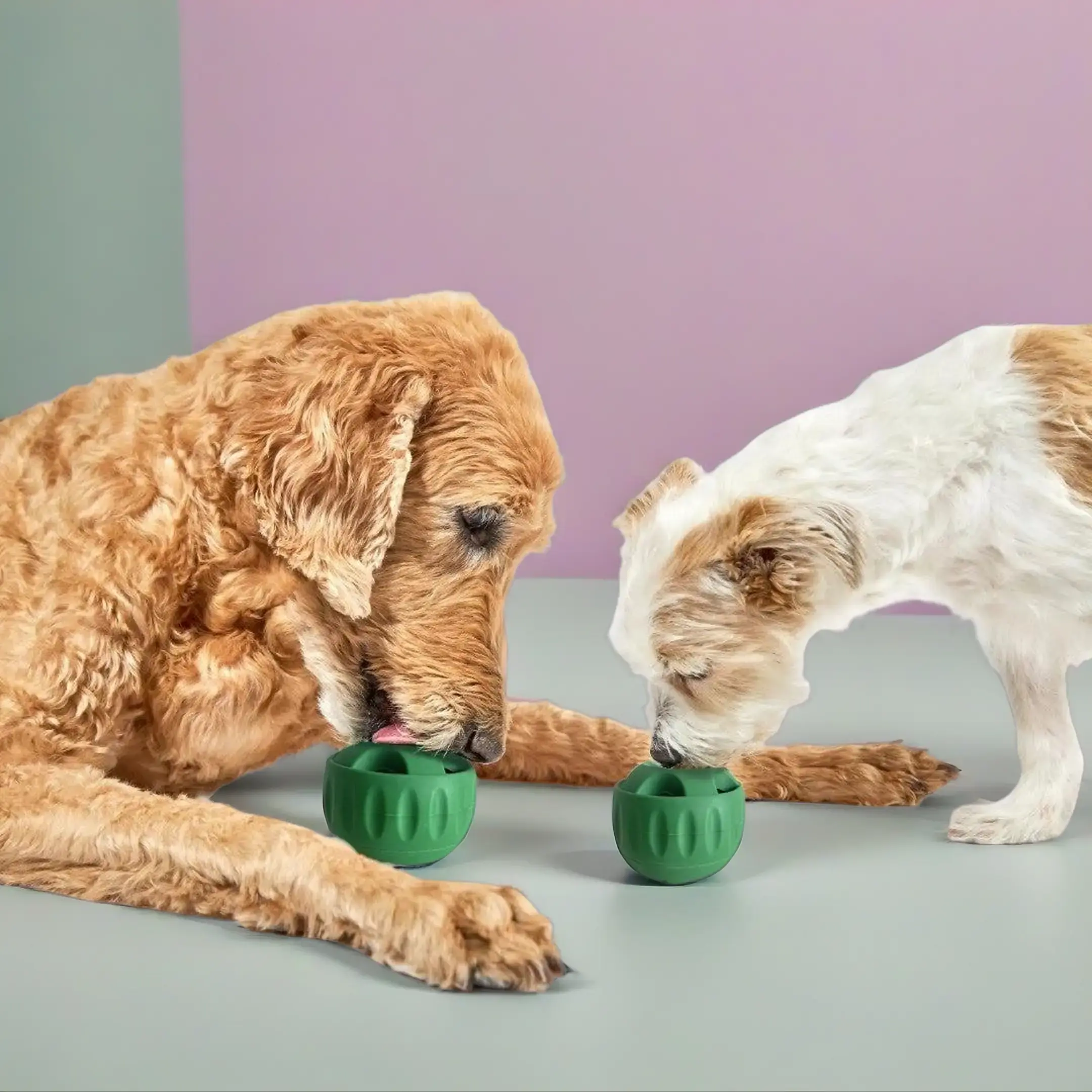 Funny Dog Cat Slow Feeder Toy Training Ball Food Treat Dispenser