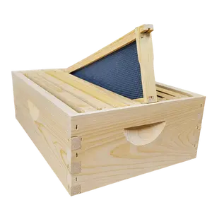 8-Frame Complete, Medium 6 5/8-inch Box with Frames and Foundation