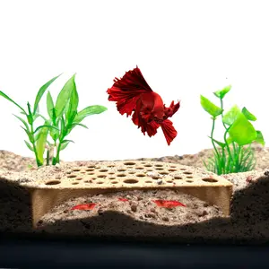 Shrimp Breeding Protector – Aquarium Tunnel Cave with Fish-Blocking Design for Shrimp Colonies