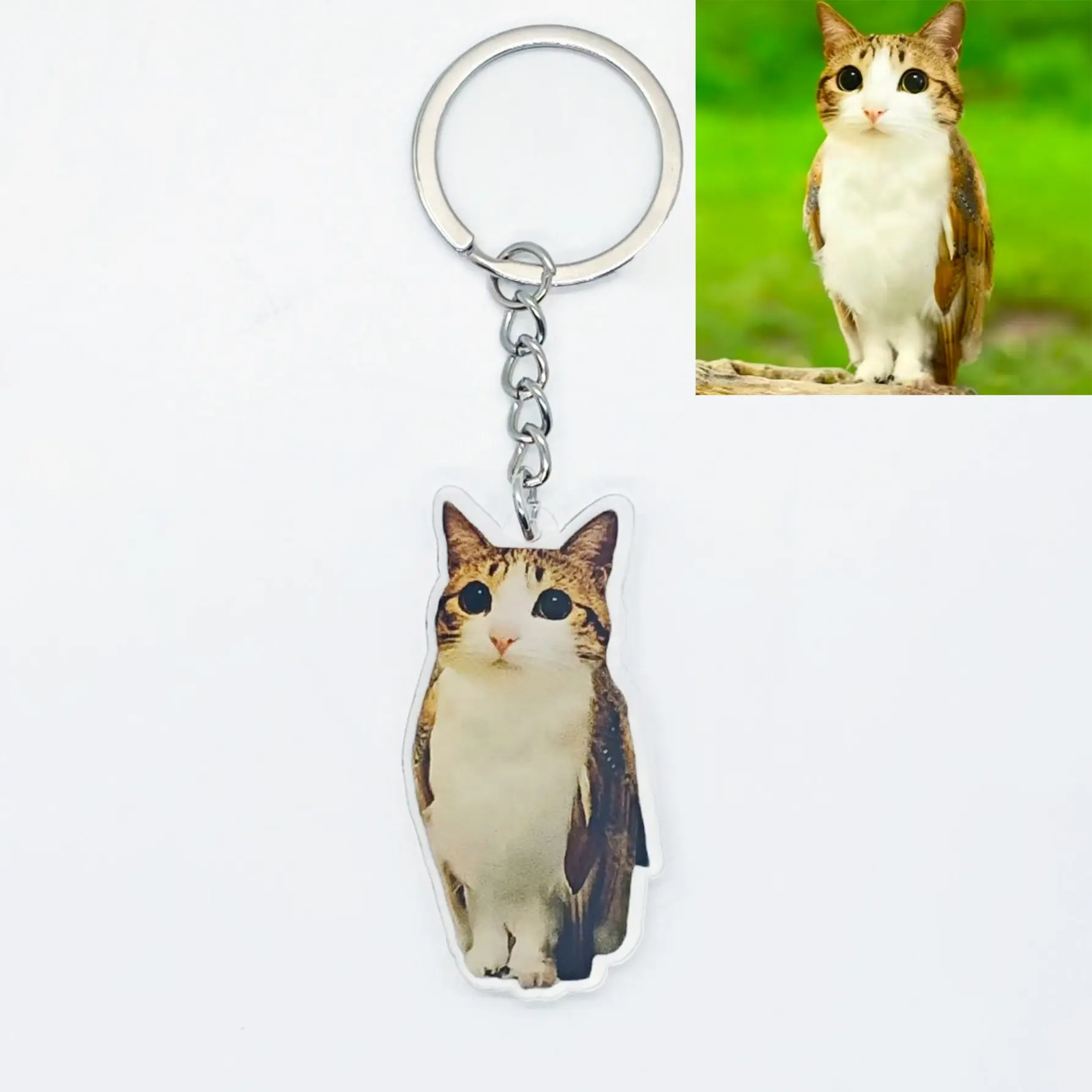 Funny Meowl Cat Owl Hybrid Keychain, Viral Meme Acrylic Bag Charm, Quirky Weirdcore Accessory, Unique Creative Gift, Keychain Accessories, Keychain For Purse