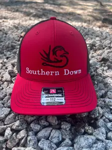 SDO Logo Hat