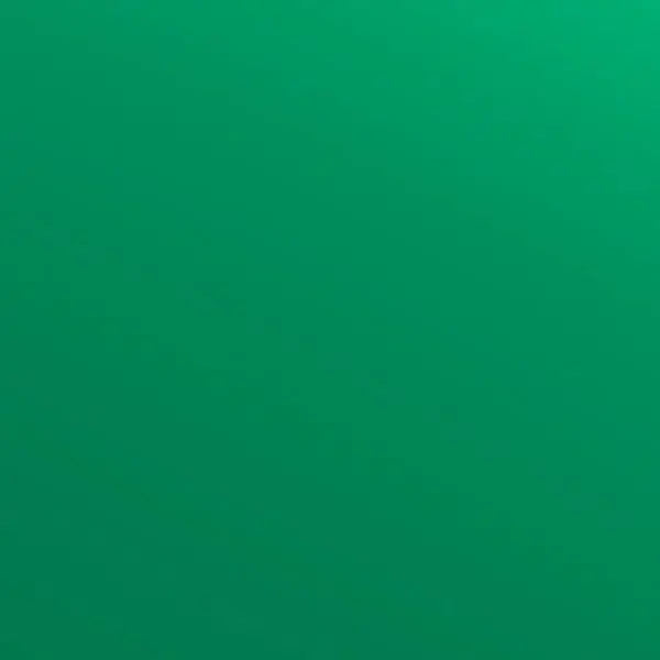 Siser EasyWeed Custom 12" Width Pearl Shine PU Electric Heat Transfer Vinyl with Pressure-Sensitive Liner, CPSIA Certified Green DIY Material for Children's Scrapbooking & Stamping Hobbies