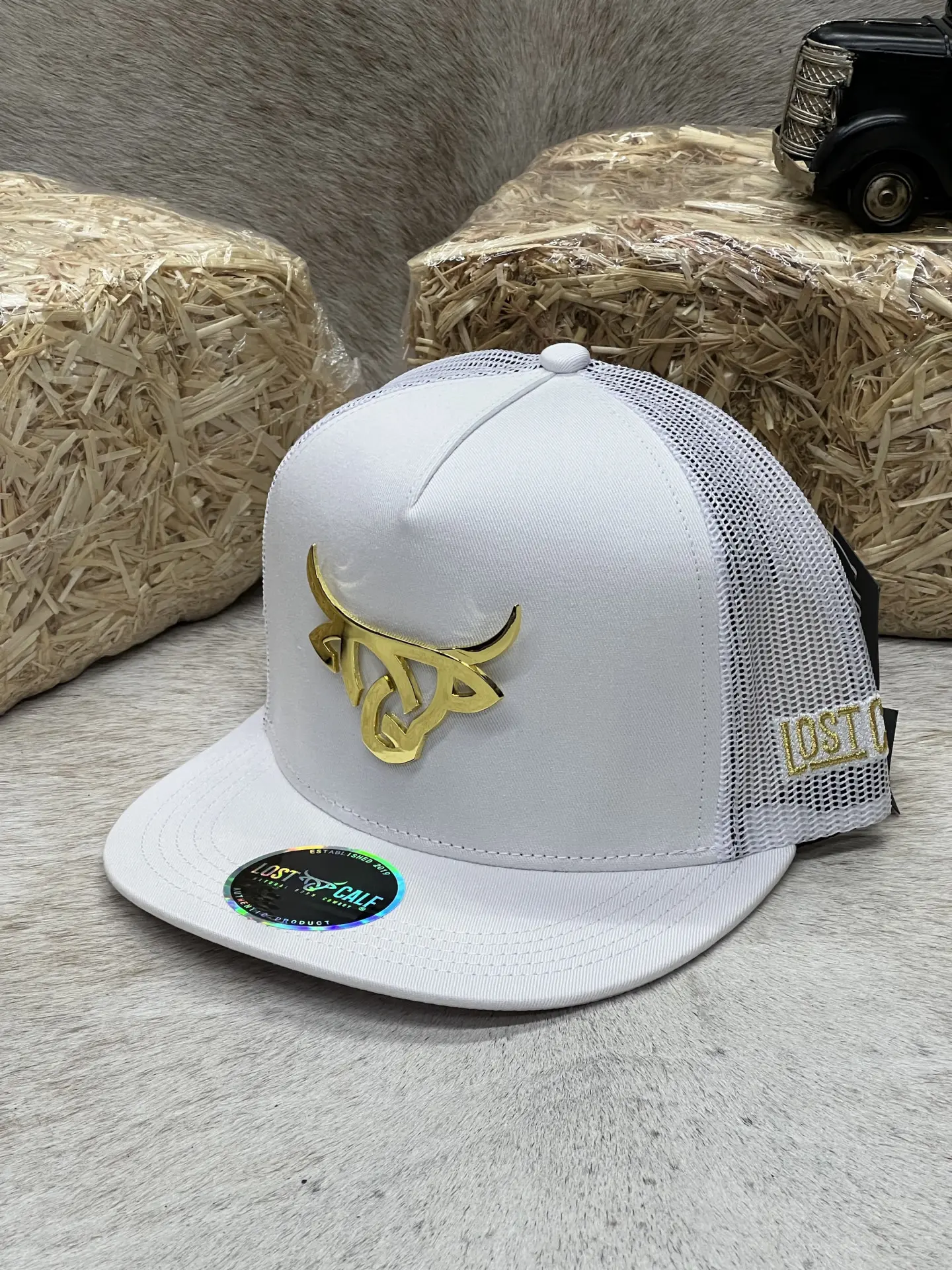Lost Calf Hat Iron Gold White Flat
