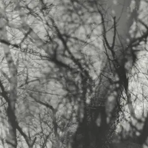 Grouper - Way Their Crept  [COMPACT DISC - CD] Reissue