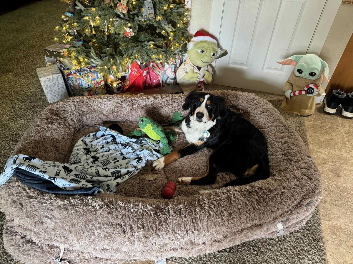 Item: 3-in-1 Flexible Camel(68x44x12)