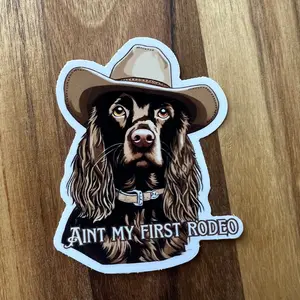 Cowboy Boykin Spaniel Ain’t My First Rodeo Vinyl Sticker