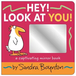 Hey! Look at You!: A Captivating Mirror Book -- Sandra Boynton - Board Book