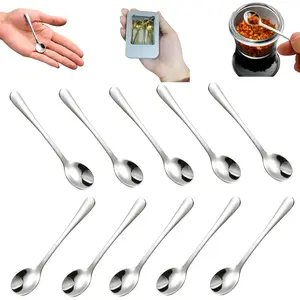 10 Pcs Mini Spoons for Spices, 2.8" Small Salt Spoons With Tin Box, 304 Stainless Steel Tiny Spoon for Salt Sugar Coffee Powder Dessert Caviar Silver