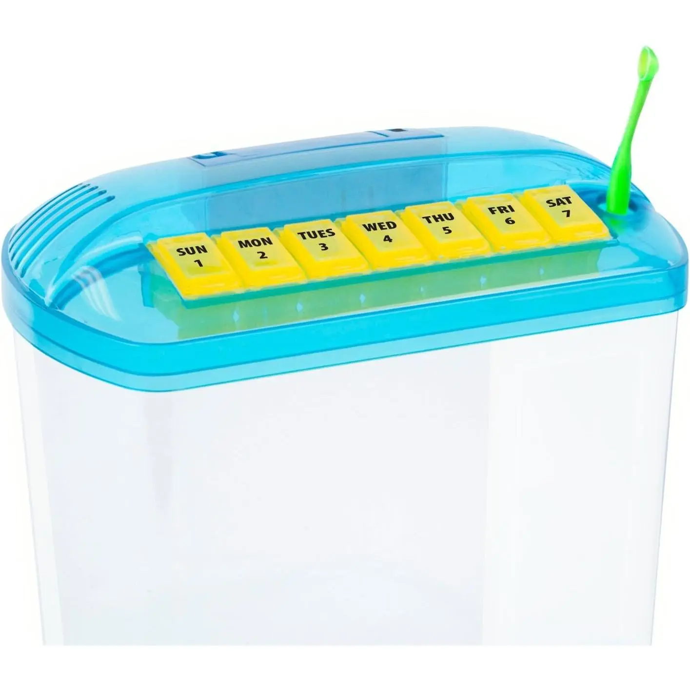 PENN PLAX Rite Bite Educational Betta Tank - 1.13 Gal, Battery-Powered (2 AAA Batteries), Promotes Learning, Teaches Care, Ideal First Aquarium for Children (With Adult Supervision)