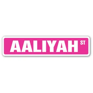 SignMission  4 x 18 in. Childrens Name Room Street Sign - Aaliyah