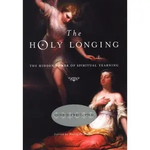 USED-The Holy Longing: The Hidden Power of Spiritual Yearning by Connie Zweig (Hardcover)