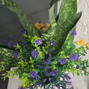 review image 6