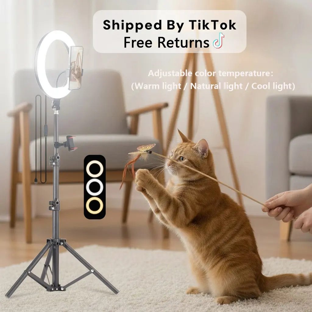 Video Light Kit: 25.6cm Outer Dimmable LED Ring Light, Light Stand（43 inch/110cm）With 2 Phone Holder for TikTok Videos, YouTube, TikTok, Self Portrait Shooting, live stream makeup vlog