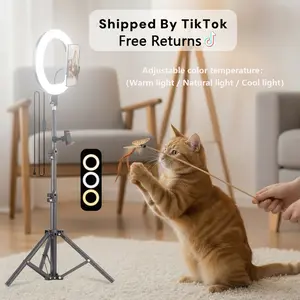 Video Light Kit: 25.6cm Outer Dimmable LED Ring Light, Light Stand（43 inch/110cm）With 2 Phone Holder for TikTok Videos, YouTube, TikTok, Self Portrait Shooting, live stream makeup vlog#SummerWins#FathersDayGift