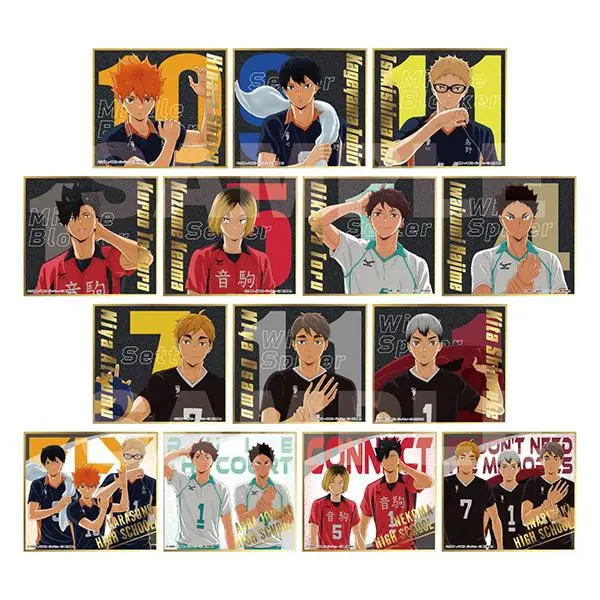 Haikyuu!! Visual Shikishi Collection