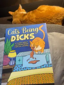 Cats Being Dcks: A funny adult coloring book for cat lovers -- Paperback