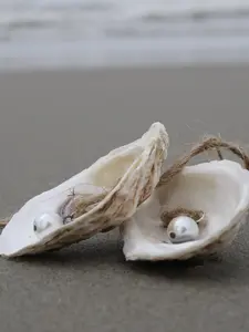 Hanging Natural Oyster Shell Ornaments with Faux Pearl