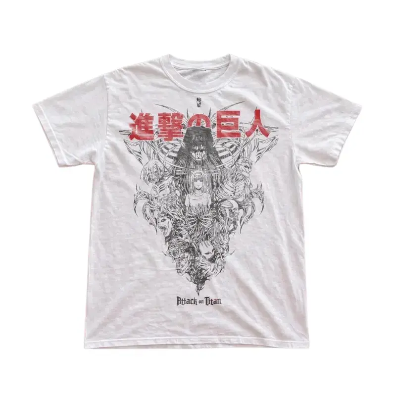 Gildan Men's and Women's T-Shirt, Vintage Founding Titan & Ymir Graphic Tee, Attack on Titan T-Shirt, Unisex Gift Manga Anime Shirt, Gothic Grunge Y2K Emo Scene Amity Affliction Style Clothes Menswear Womenswear Streetwear