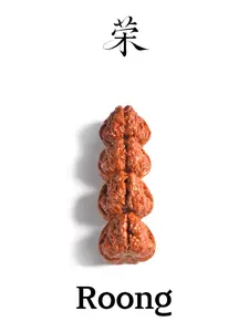 Roong /Golden Toad Walnuts 2026 01SS -Wenwan walnut-Unhandled walnut Premium Grade -Oxford Red Patina - Hand-Cleaned & Vacuum-Sealed - Beijing, China Origin/Anxiety toys/stressrelieftoys/Manifest happiness