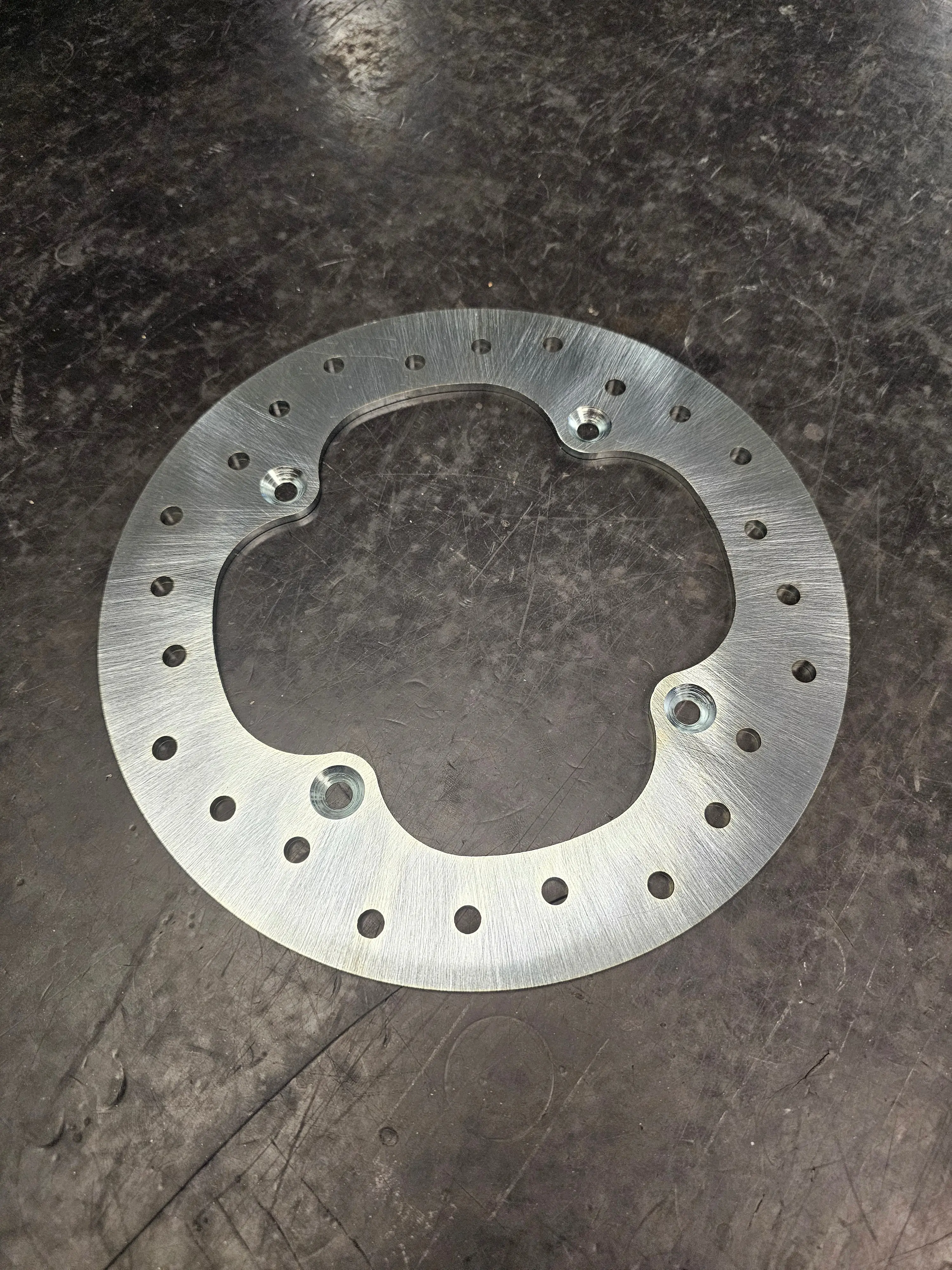 X3 Rear Brake Rotor X3 Rear Brake Rotor