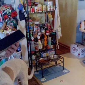 Quick-Drying Absorbent Pet Feeding Mat for Dogs and Cats, Non-Slip Rubber Bottom, Dark Polyester Surface for Indoor Use