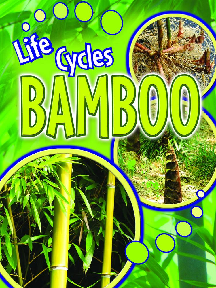 USED-Rourke Educational Media Bamboo Reader (Life Cycles) by Julie Lundgren (Paperback)