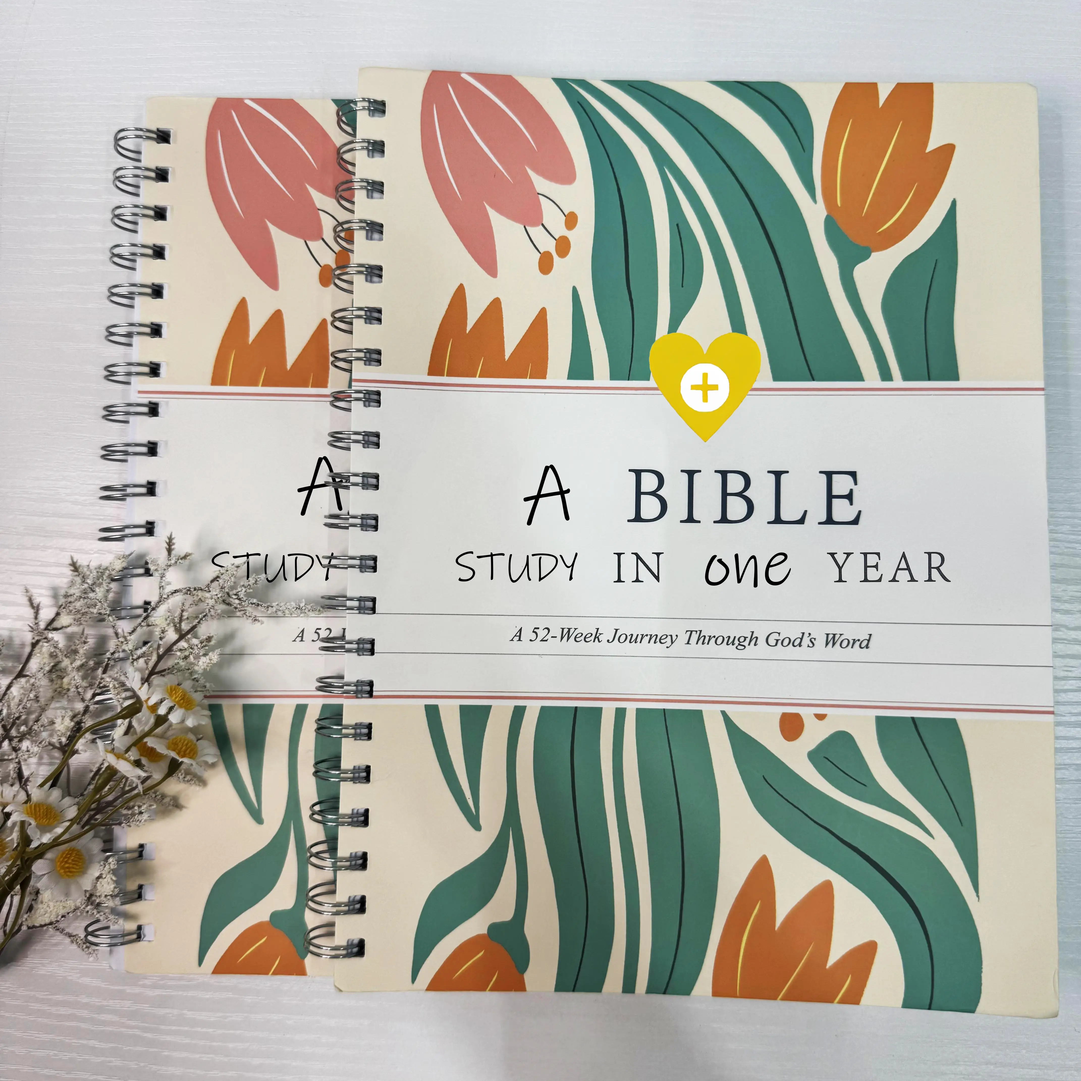 The Study the Bible for 1 Year - 52 Week Bible Journal, Bible Study Book, Personal Organizer, Office Stationery & Supplies,Gift for Women & Men