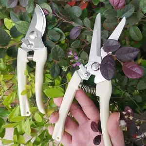Stainless Steel Floral Pruning Shears, Garden Branch Trimming Scissors, Home Grafting Gardening Tools, Fruit Tree Bypass Clippers