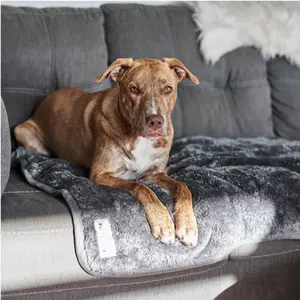 Pawtect® Blanket Plus