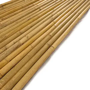 8FT Natural Bamboo Stakes – 10pcs Garden Plant Supports for Tomatoes, Beans, Flowers & Climbing Plants