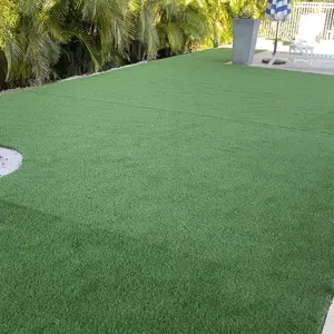 LawN Order Enzyme Based Astroturf Cleaner 32 Oz Concentrate with Luxury tropical Scent for Pet Odor Neutralization & Turf Hygiene