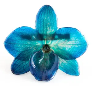 Blue Nobile Orchid pin.