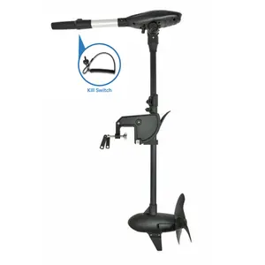 HASWING Protruar G Electric Trolling Motor – 24V 110LBS 35.4 Inches Shaft Brushless Motor with Gear Box Boat Fishing for Saltwater & Freshwater