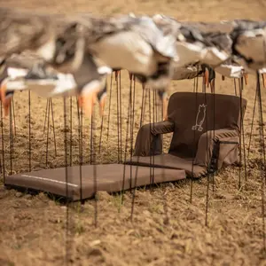 Layout Chair