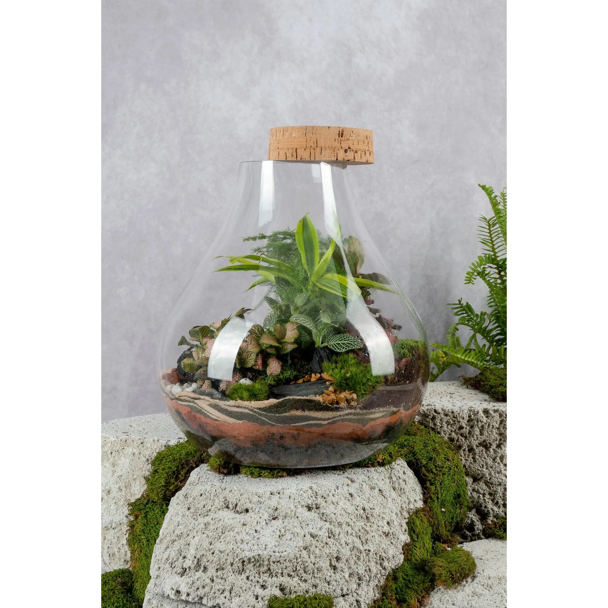 Sensation Terrarium