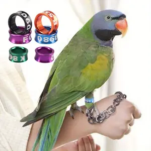 10pcs Flight Training Tool Cockatiel Foot Ring, Chick Chick with Ring, Identification Ring
