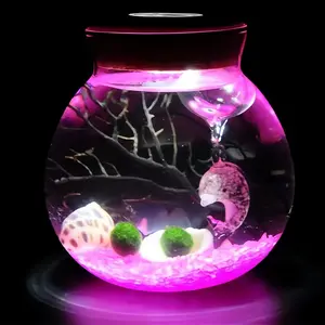 Merak - Healing Big Dipper Bottle Terrarium, Adorable Marimo Micro-Landscape, Self-Sustaining Crystal Water Garden & Low-Maintenance Pet Plant Decor (Includes 2 Live Marimo Pets)