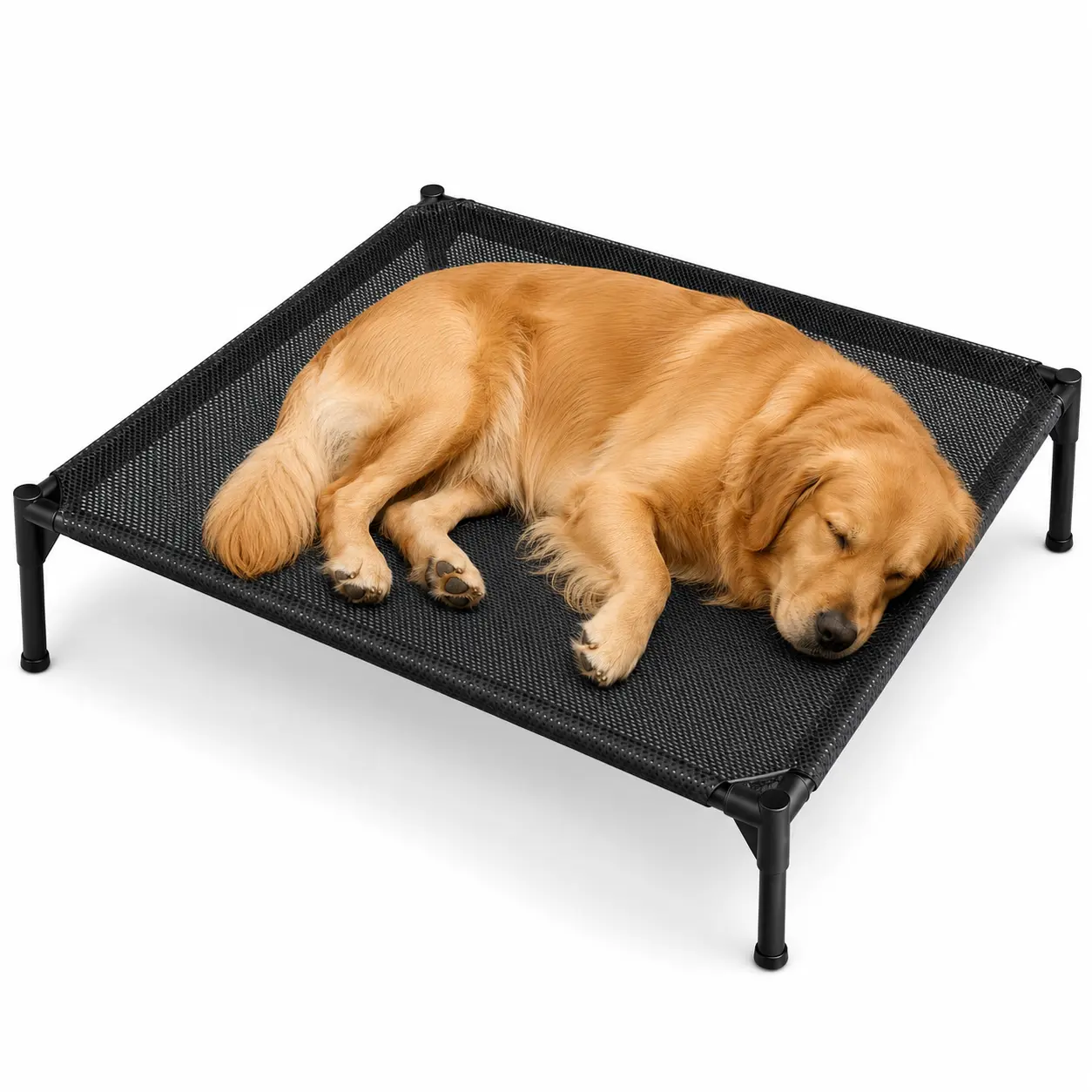 Elevated Dog Bed, Black Raised Pet Bed with Oxford Fabric L/XL and Breathable Mesh XXXL Options, 19 cm High for Indoor, Patio and Camping Use