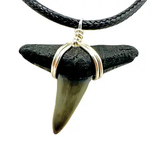 Lemon Shark Necklace - Classic Shark Tooth Design, Stainless Steel, Waterproof, Crimped & Jump Rings, Tightly Wrapped, Perfect for Any Occasion