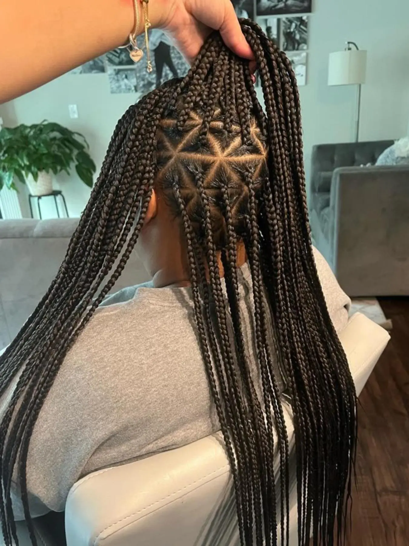 Box Braided Lace Wigs for Women, 180% Density Long Braided Wigs without Bangs, Full Double Lace Front Braided Wigs, Synthetic Braided Lace Wigs for Party, Daily Use, Lace Frontal Wigs